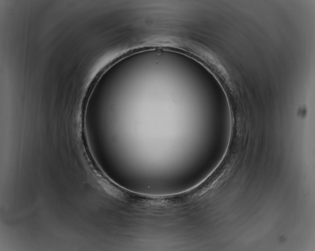 X0000100761328200806191158