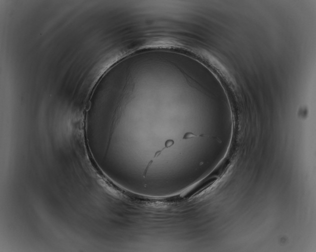 X0000100761329200806191158