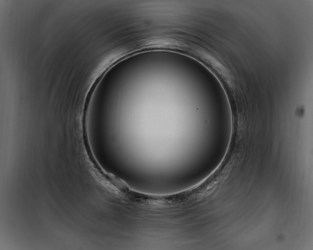 X0000100761330200806191158