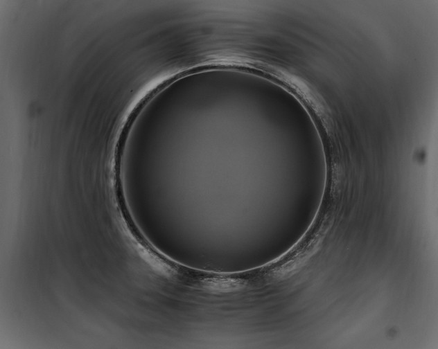 X0000100761331200806191158