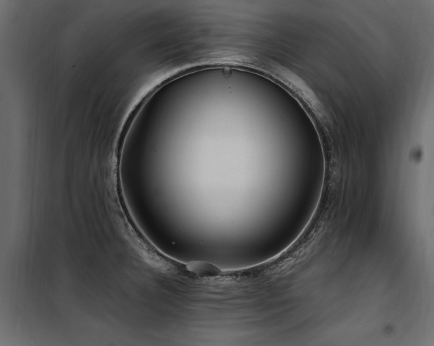 X0000100761332200806191158