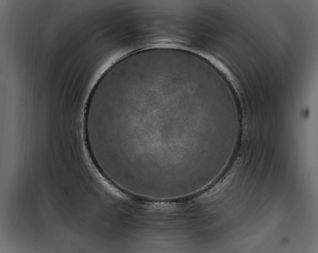 X0000100761333200806191158