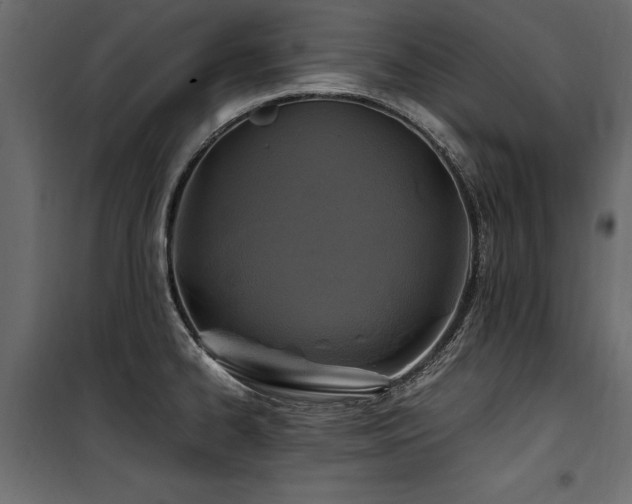 X0000100761334200806191158