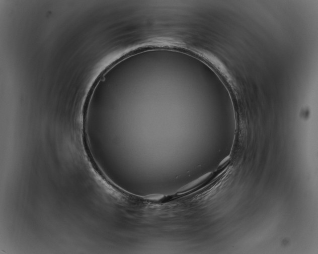 X0000100761335200806191158