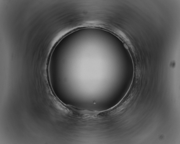 X0000100761336200806191158