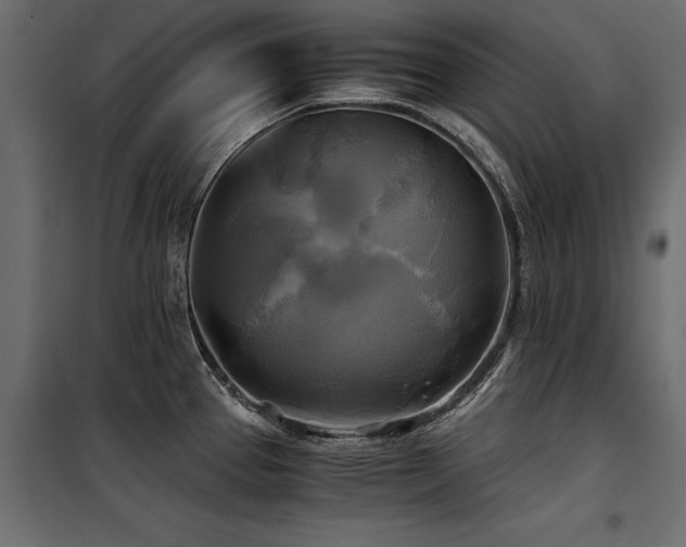 X0000100761337200806191158