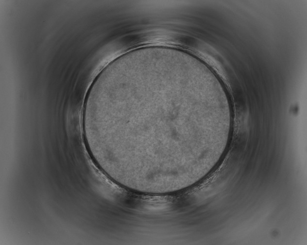 X0000100761338200806191158