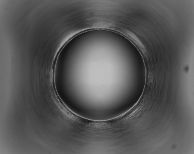 X0000100761340200806191158