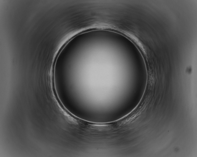 X0000100761343200806191158