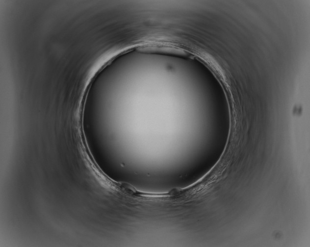 X0000100761344200806191158