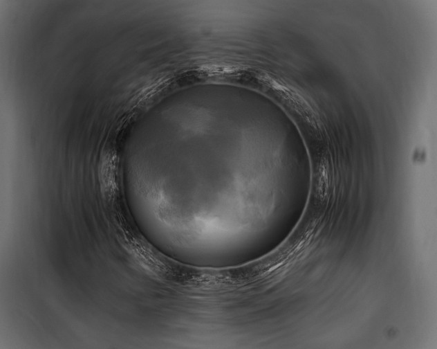 X0000100761346200806191158