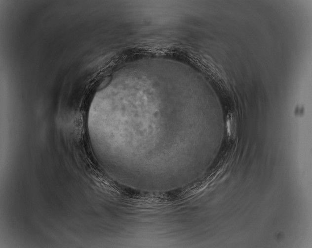 X0000100761347200806191158