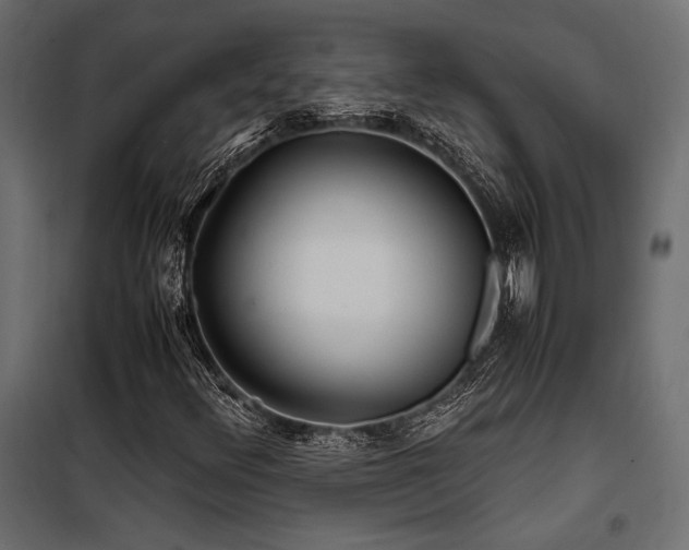 X0000100761348200806191158