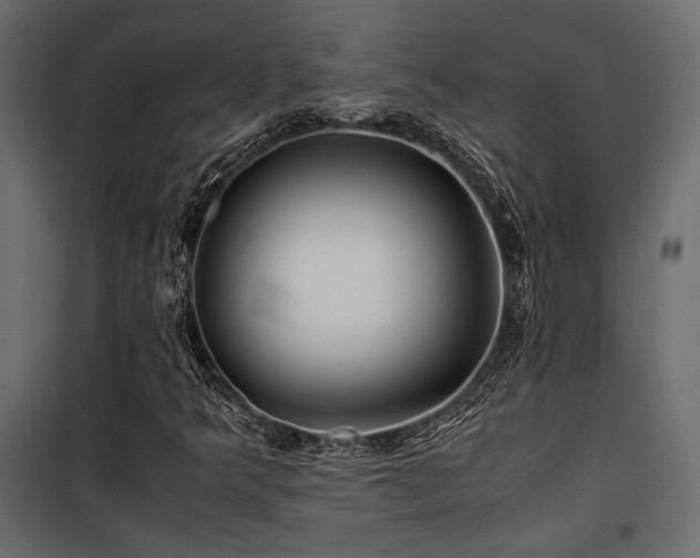 X0000100761349200806191158