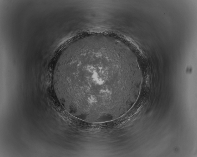 X0000100761350200806191158