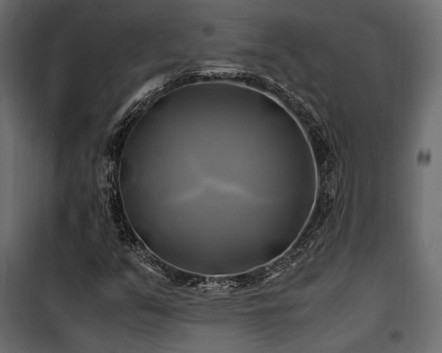 X0000100761351200806191158