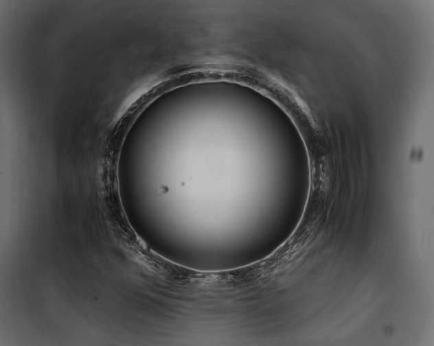 X0000100761352200806191158