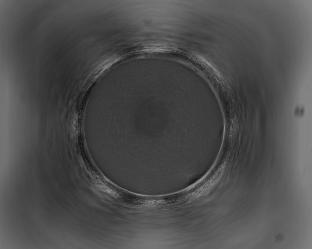 X0000100761353200806191158