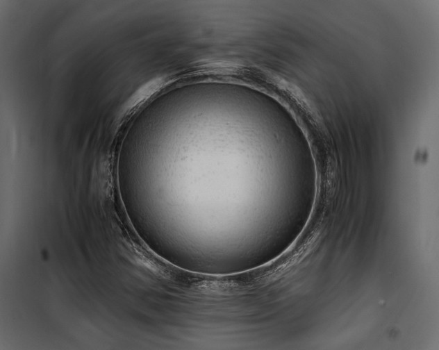 X0000100761354200806191158