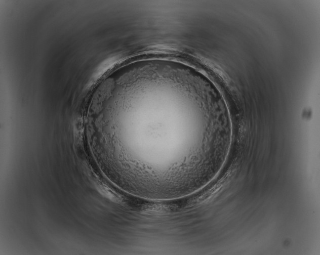 X0000100761355200806191158