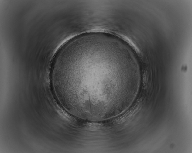 X0000100761356200806191158