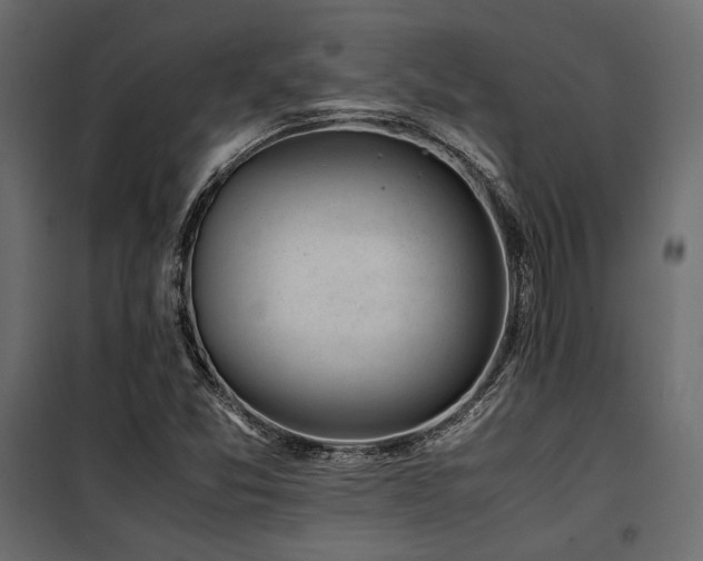 X0000100761357200806191158