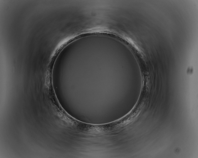 X0000100761358200806191158