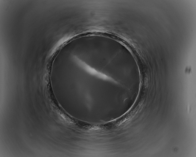 X0000100761359200806191158