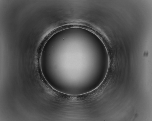 X0000100761360200806191158