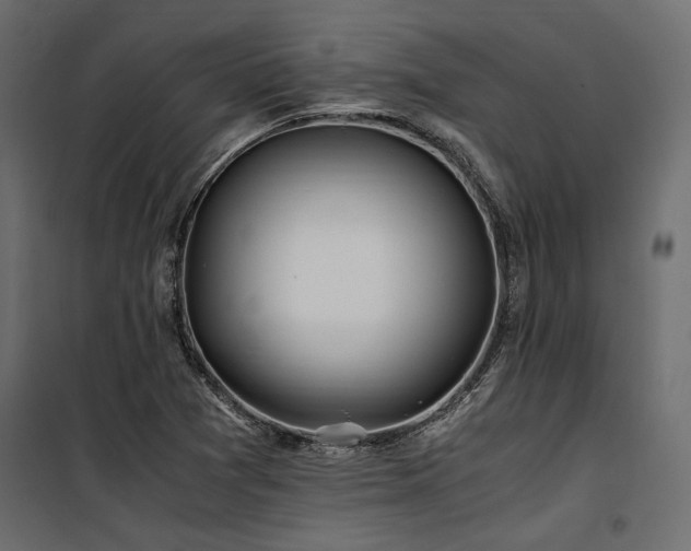 X0000100761361200806191158