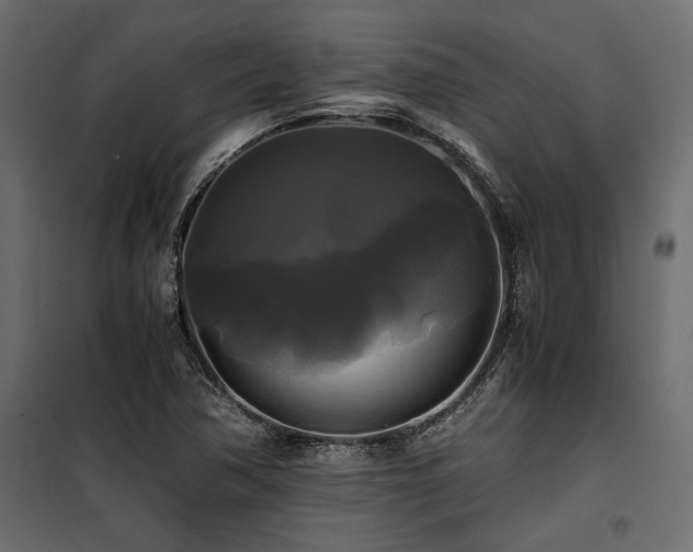 X0000100761362200806191158