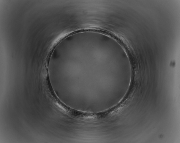 X0000100761363200806191158