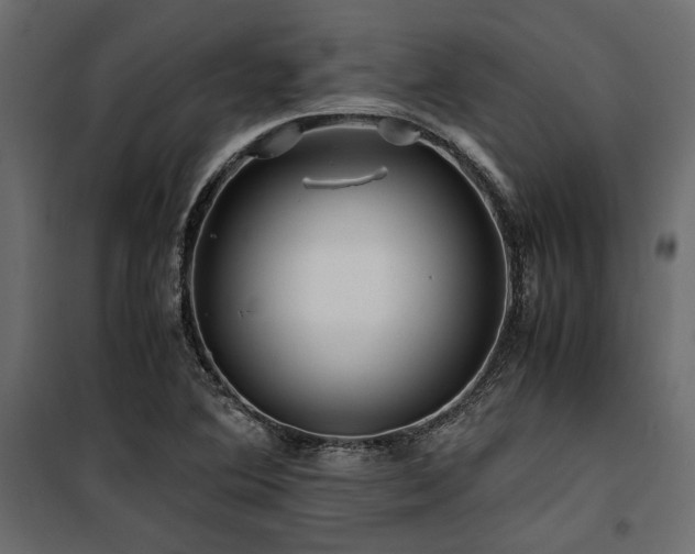 X0000100761364200806191158