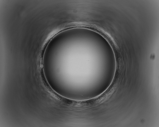 X0000100761365200806191158