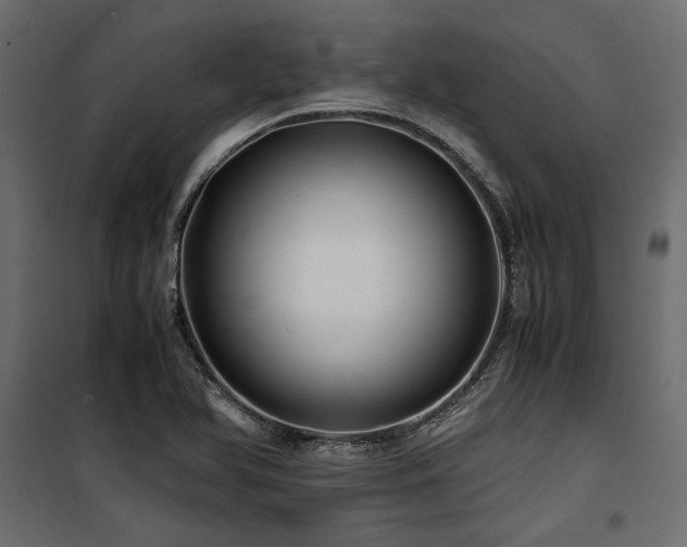 X0000100761366200806191158