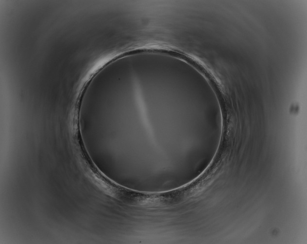 X0000100761367200806191157