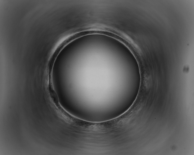 X0000100761368200806191157