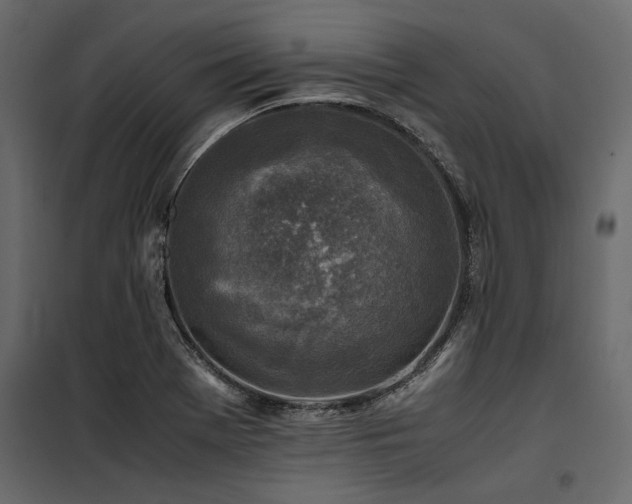 X0000100761369200806191157