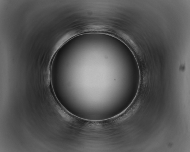 X0000100761370200806191157