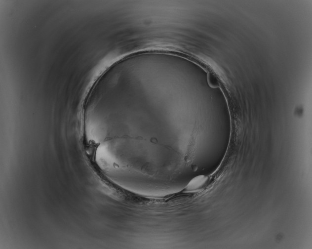 X0000100761371200806191157