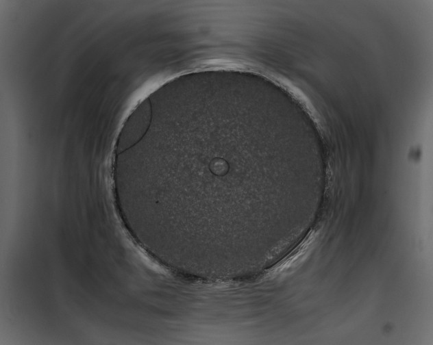 X0000100761373200806191157