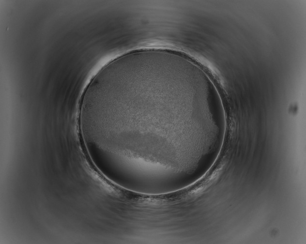 X0000100761374200806191157