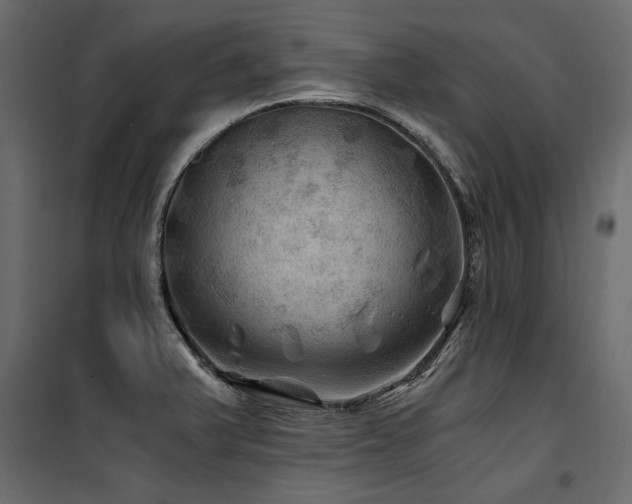 X0000100761375200806191157