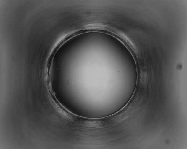 X0000100761376200806191157