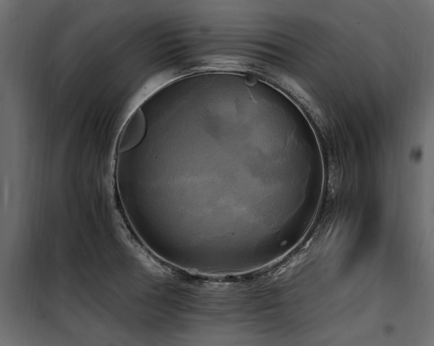 X0000100761378200806191157