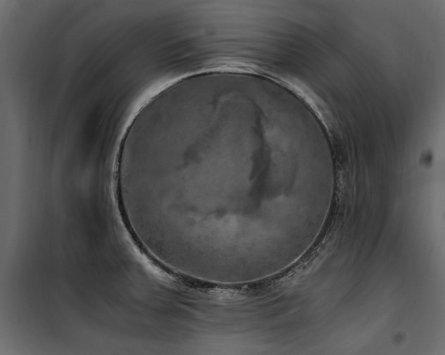 X0000100761379200806191157