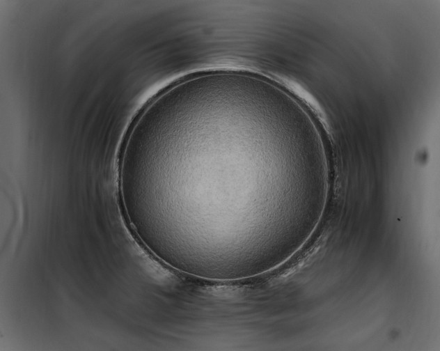 X0000100761380200806191157