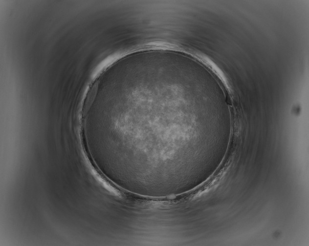 X0000100761381200806191157