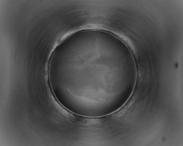 X0000100761382200806191157