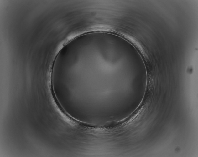 X0000100761383200806191157